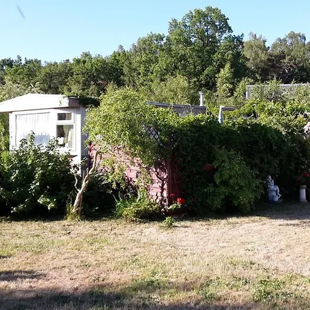 Domek Różany Nowecin